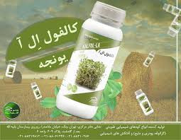 کالفول ال آ کیا سبز ویژه یونجه 5 لیتری